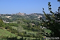 VBS_5706 - C'è un mare di velluto verde! E tu che sognavi di andare lontano... Quanta meraviglia, quì!
